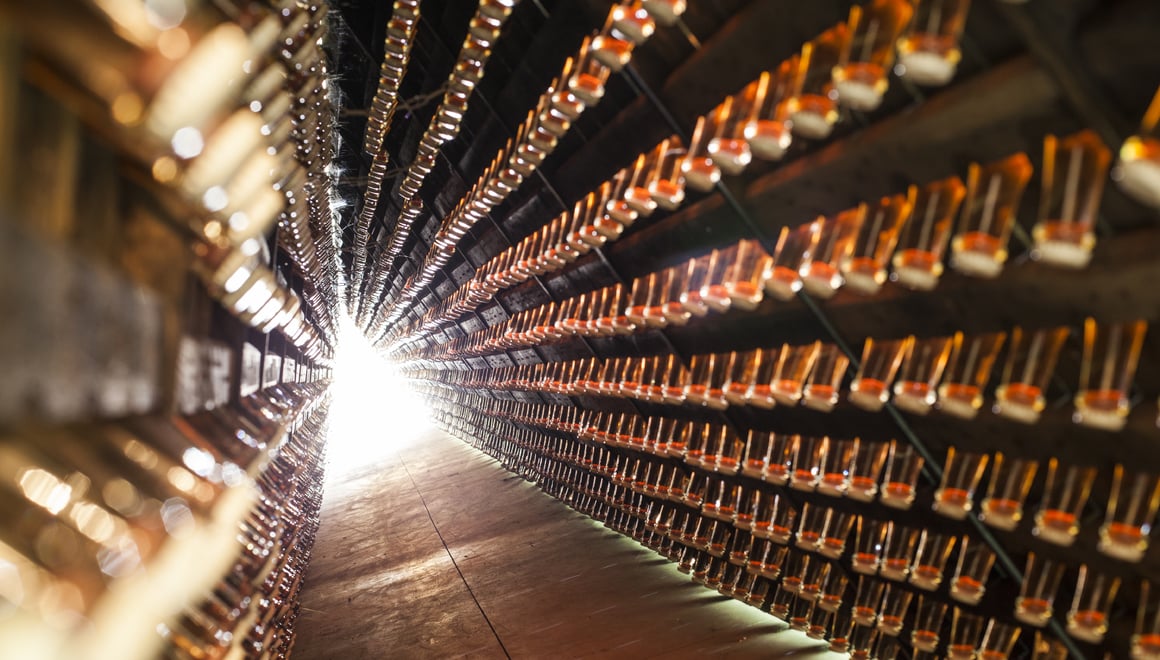 fermentazione in bottiglia