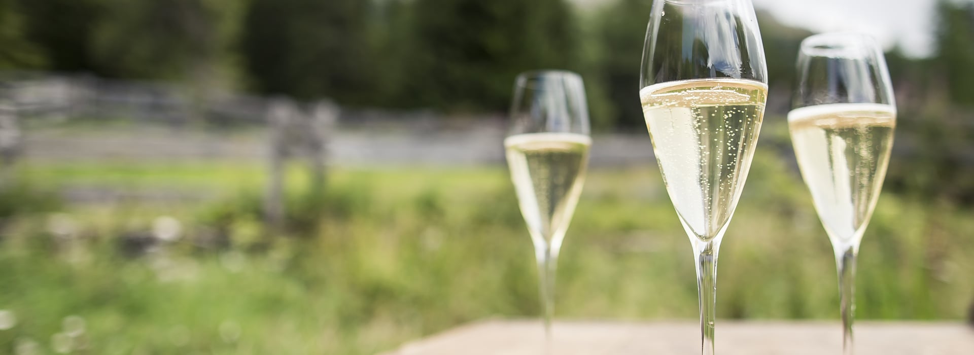 Spumante Alto Adige DOC Header - Consorzio Vini Alto Adige/Florian Andergassen