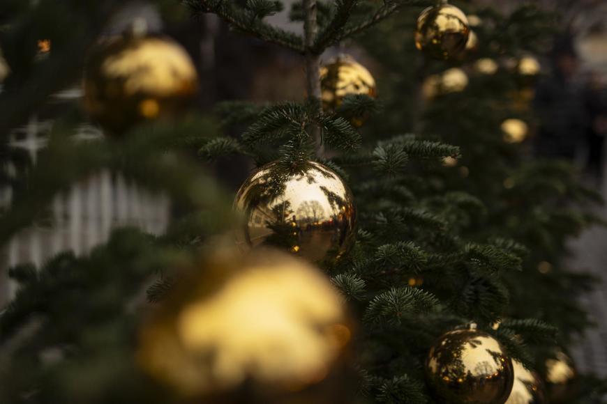Goldene Weihnachtsbaumkugel hängt an einem geschmückten Tannenbaum ©IDM Südtirol-Alto Adige/Patrick Schwienbacher